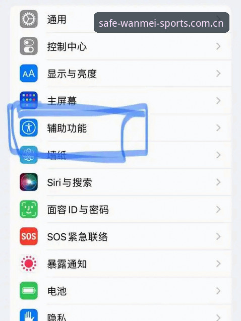完美体育入口打不开？3个实用步骤让你顺利下载并重新开玩